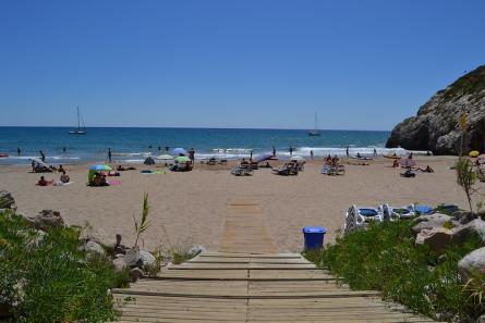 Vine a la platja
